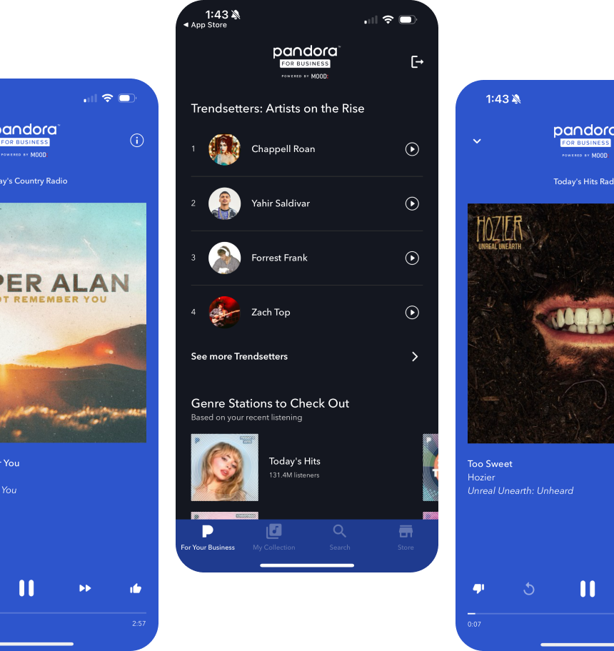 Pandora App Interface